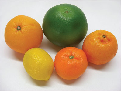 Fruits and Spices