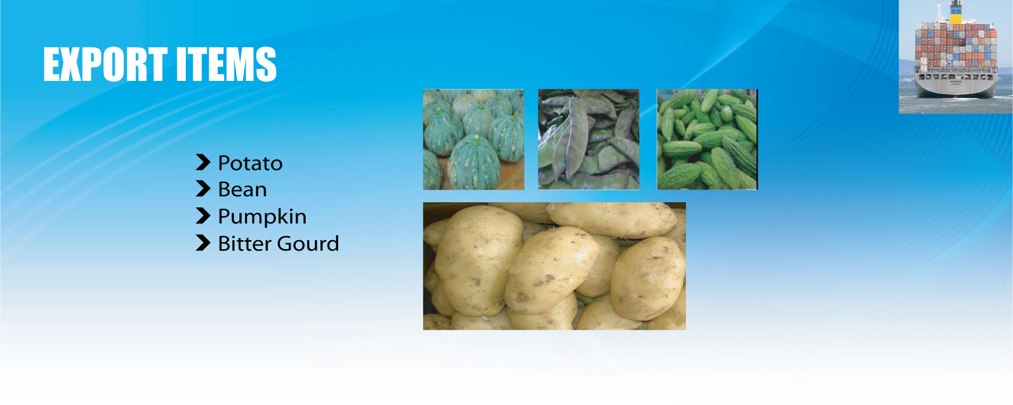 RIC Products