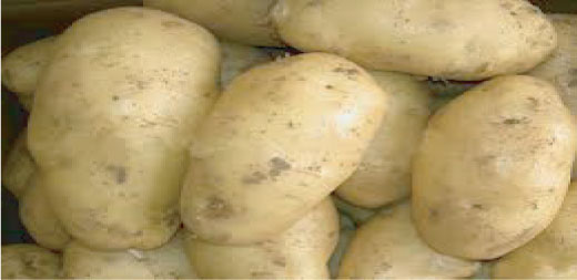 Vegetables